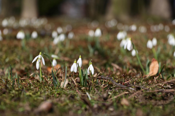 Intencje Mszy świętych 23.02–01.03.2020