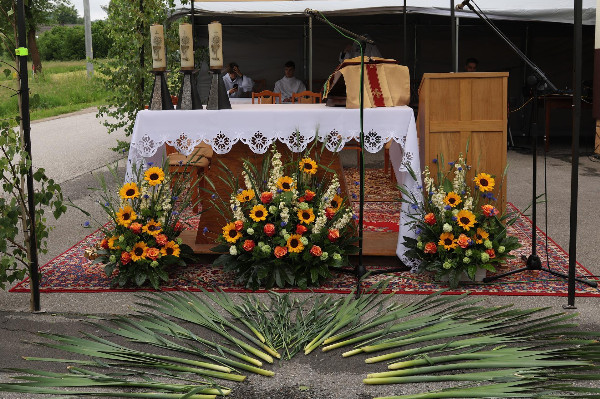 Intencje Mszy świętych 07–14.06.2026