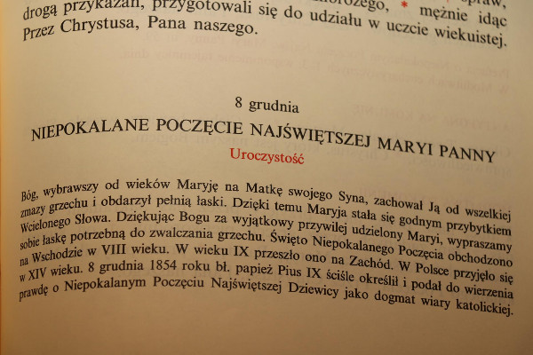 Intencje Mszy świętych 09–16.12.2018