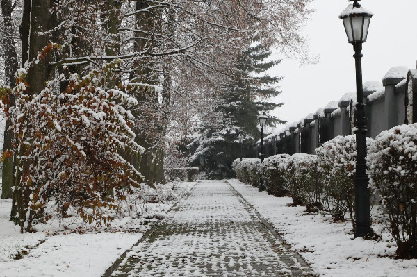 Ogłoszenia duszpasterskie 20.12.2020